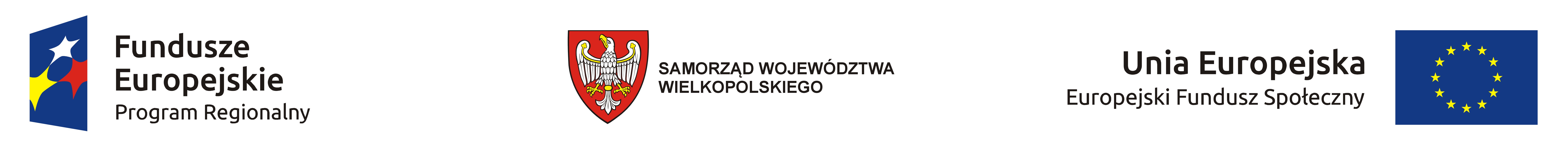 EFS Samorzad kolor