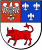 herb powiat turecki