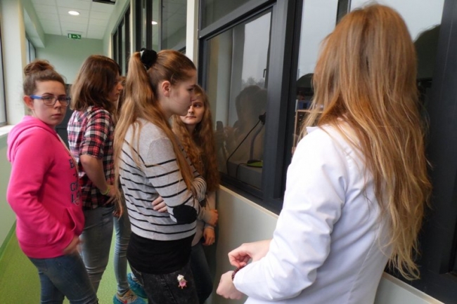 bakteria 10 20150216 1987766015