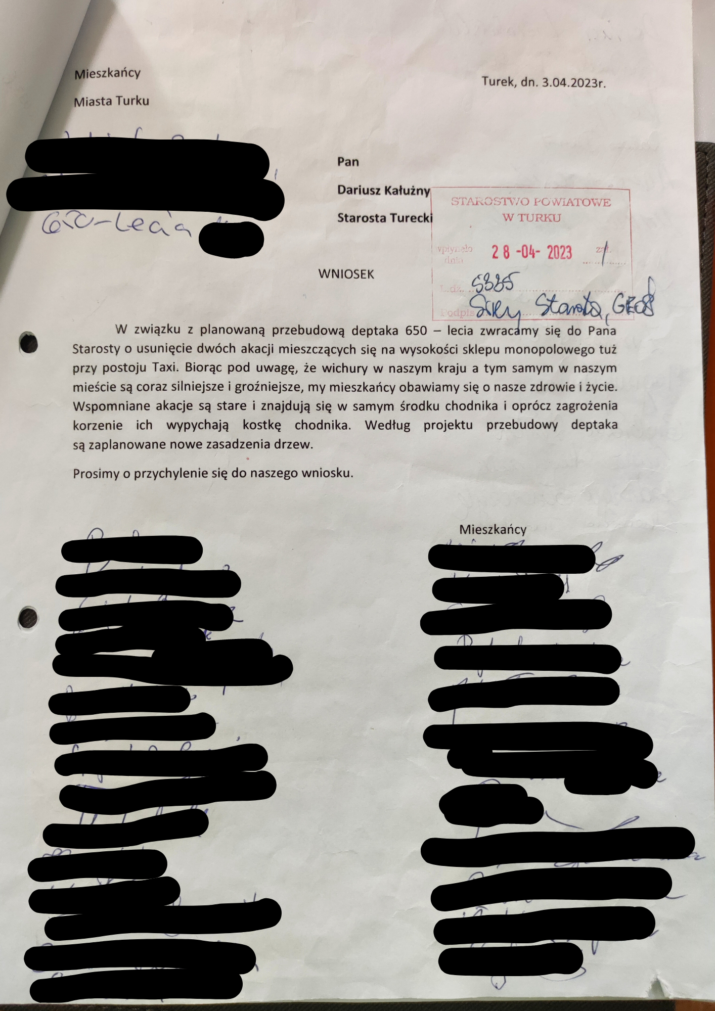 Prawda o drzewach na deptaku 650-lecia
