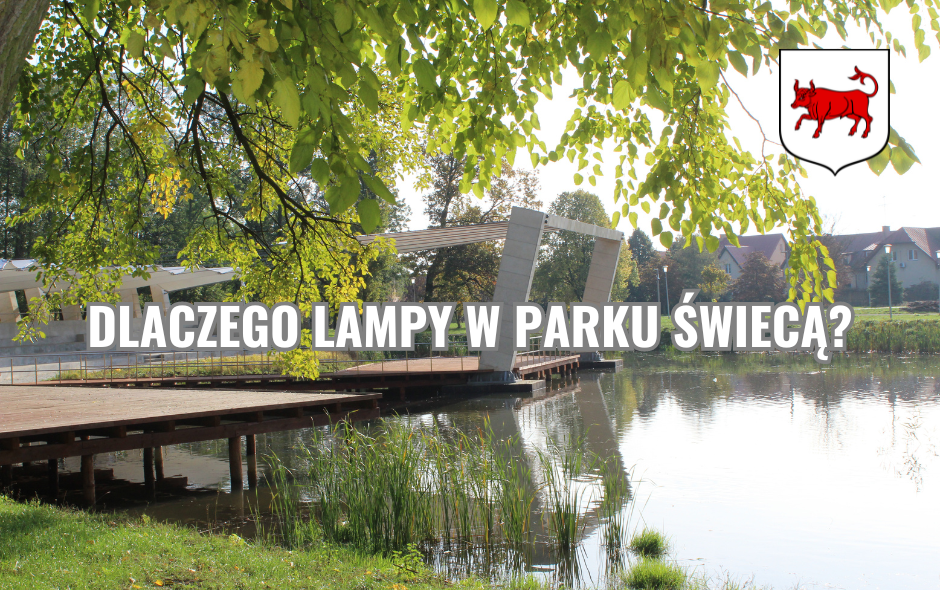 Dlaczego lampy w parku świecą?