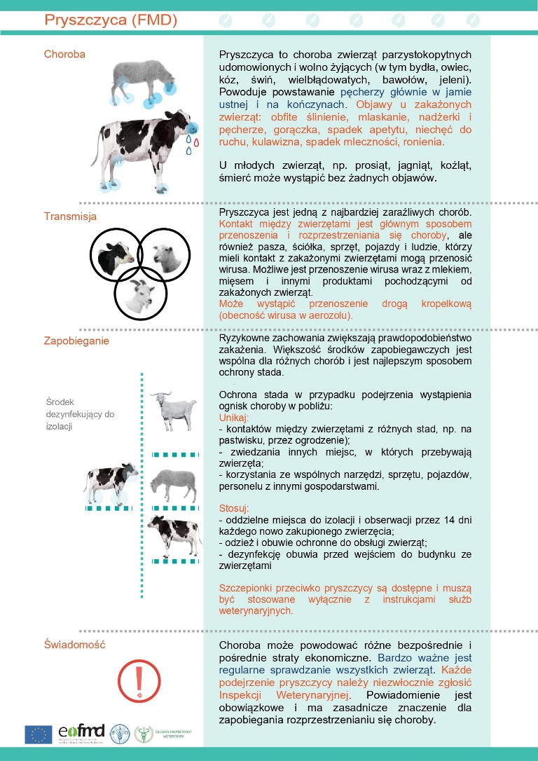 giw ulotka FMD page 0001
