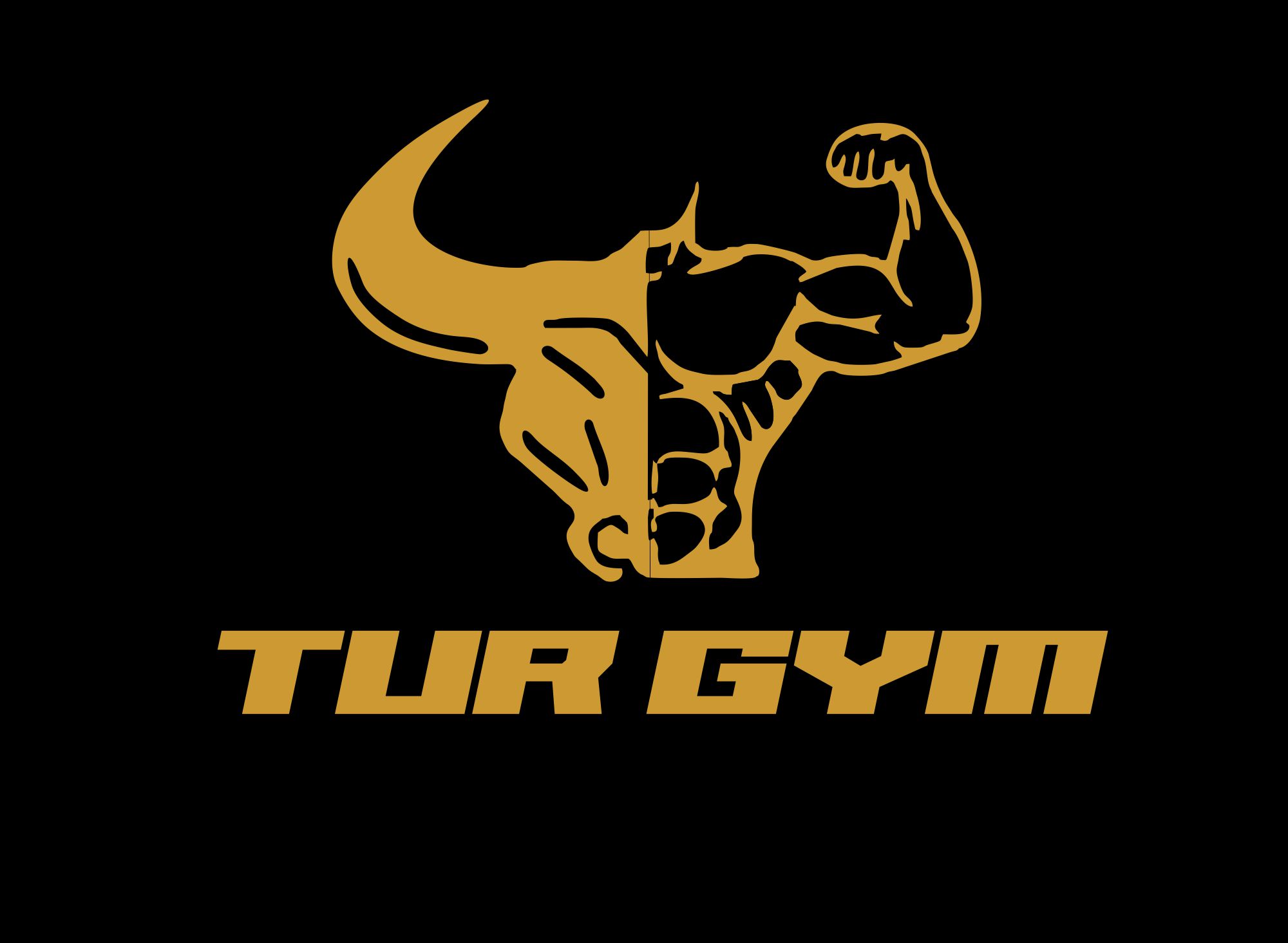TUR GYM logo1