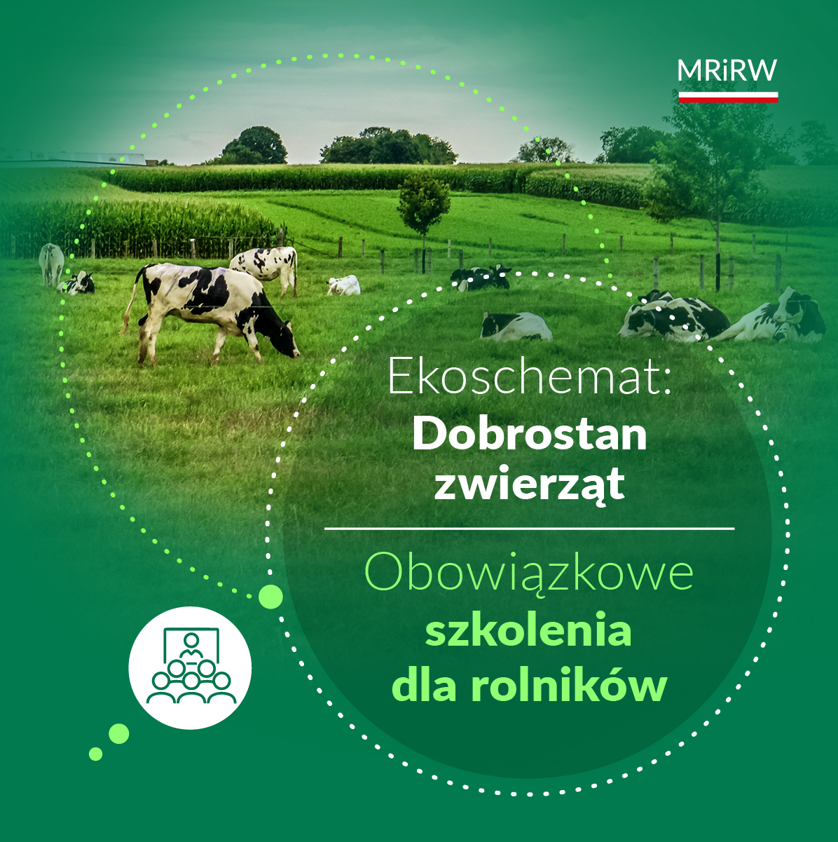 Ekoschemat „Dobrostan zwierząt”
