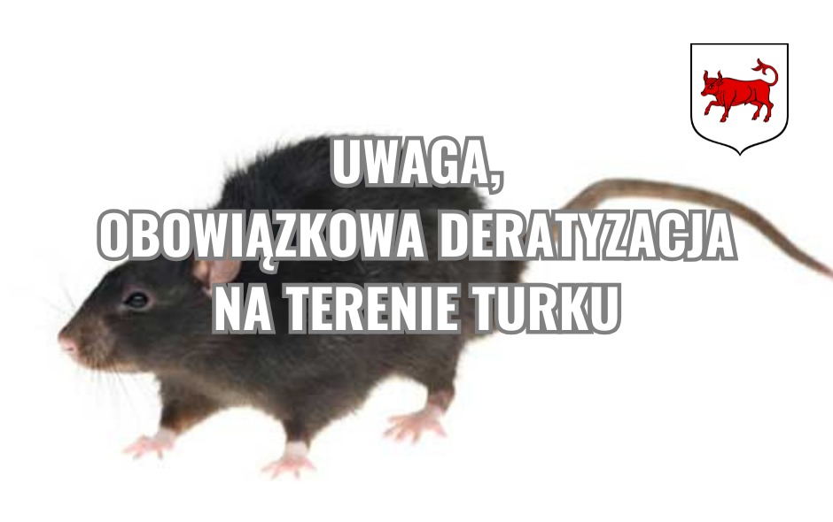 Uwaga, obowiązkowa deratyzacja na terenie Turku