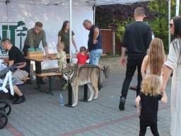 img_9670