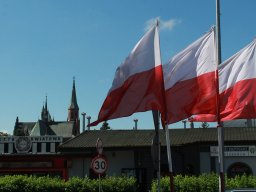 img_7934