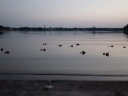 img_8221